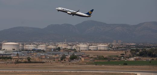 Mallorca: Entlaufener Hundewelpe sorgt am Flughafen für Aufregung