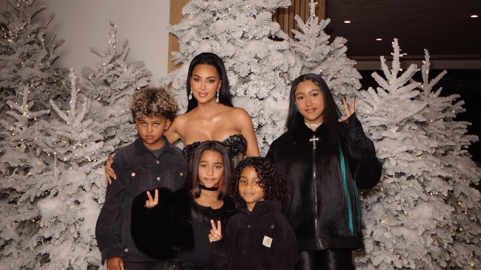 Tierschutz entsetzt wegen Weihnachtswelpen der Kardashians