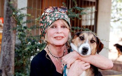 Brigitte Bardot: Filmstar soll auf Friedhof am Meer beigesetzt werden