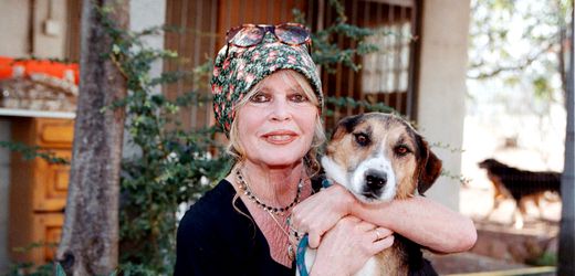 brigitte-bardot-filmstar-soll-auf-friedhof-am-meer-beigesetzt-werden.jpg Brigitte Bardot: Filmstar soll auf Friedhof am Meer beigesetzt werden