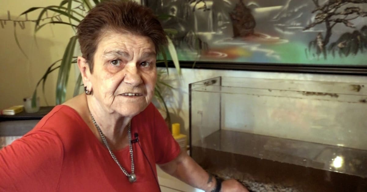 wirst-uns-fehlen-regina-aus-hartz-und-herzlich-ist-tot.jpeg „Wirst uns fehlen“: Regina aus „Hartz und herzlich“ ist tot