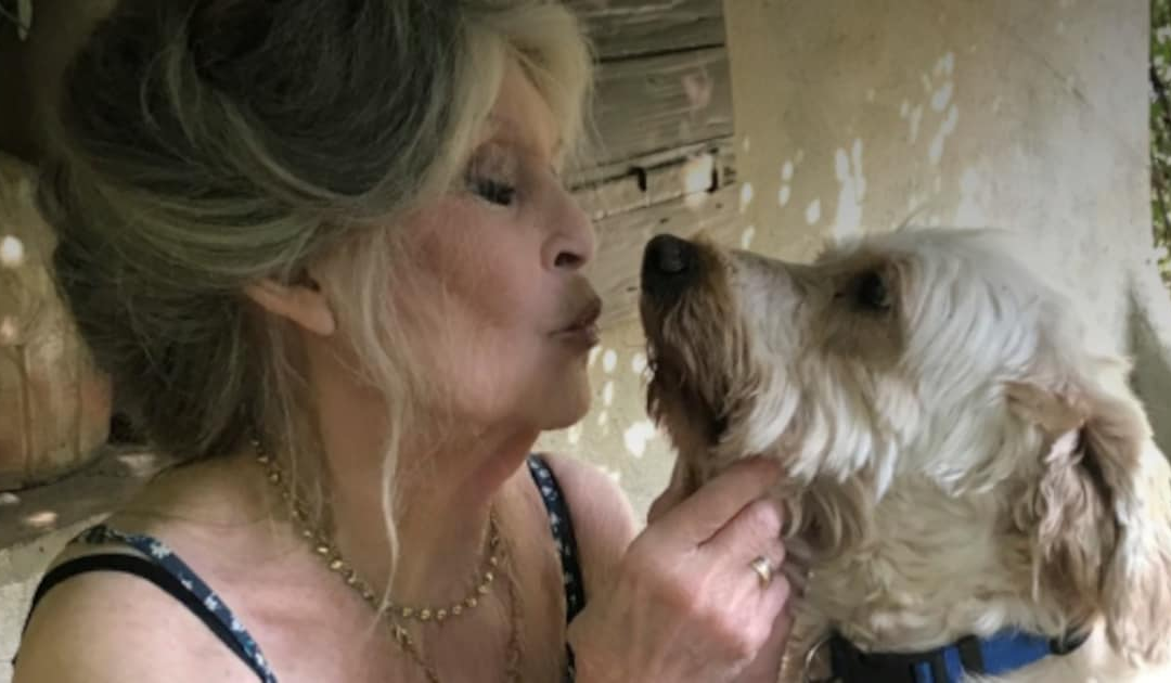 Brigitte Bardots letzter Post widmete sich ihrem Herzensthema