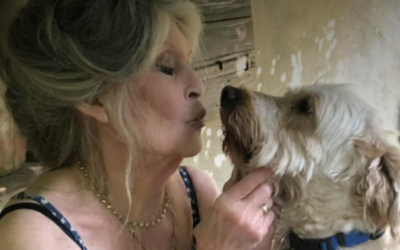 Brigitte Bardots letzter Post widmete sich ihrem Herzensthema