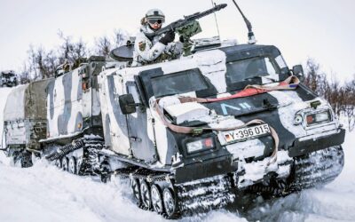 Gegen Trump: Grünen-Legende fordert Bundeswehrmanöver in Grönland