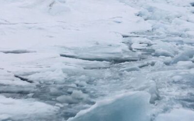 Schifffahrt in der Arktis: Der gefährliche Weg von Russlands Schattenflotte durchs Eis