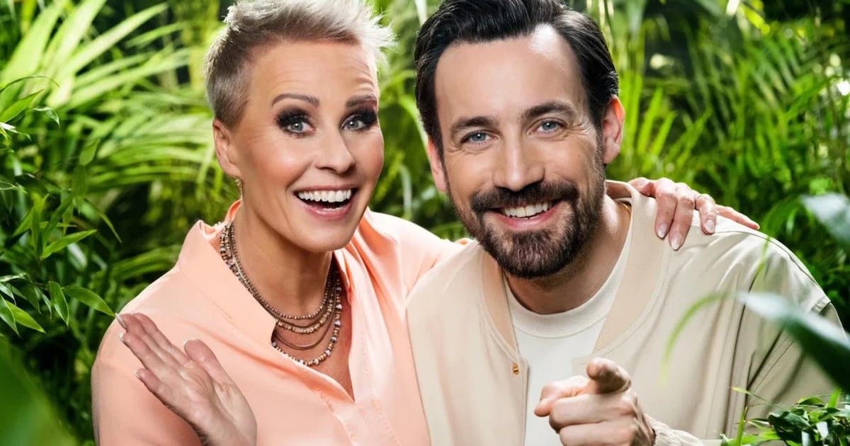 schon-viel-dschungelcamp-erfahrung-er-soll-ersatzkandidat-fuer-2026-sein.png Schon viel Dschungelcamp-Erfahrung: Er soll Ersatzkandidat für 2026 sein