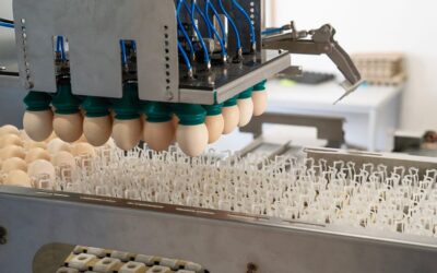 Start-up: Dieses Münchener Unternehmen findet die perfekte Avocado – mit MRT-Technologie