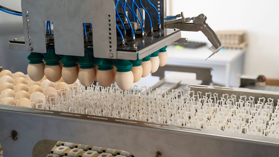 Start-up: Dieses Münchener Unternehmen findet die perfekte Avocado – mit MRT-Technologie