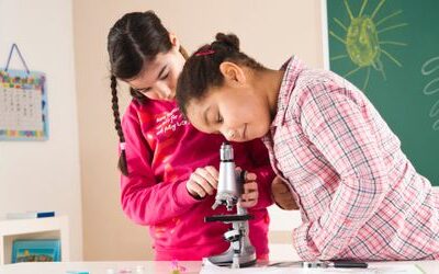 Schulen: 29 Prozent der Schülerinnen und Schüler haben eine Einwanderungsgeschichte