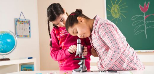 Schulen: 29 Prozent der Schülerinnen und Schüler haben eine Einwanderungsgeschichte