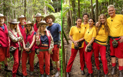 Dschungelcamp 2026: Wem Dr. Bob den Sieg zutraut