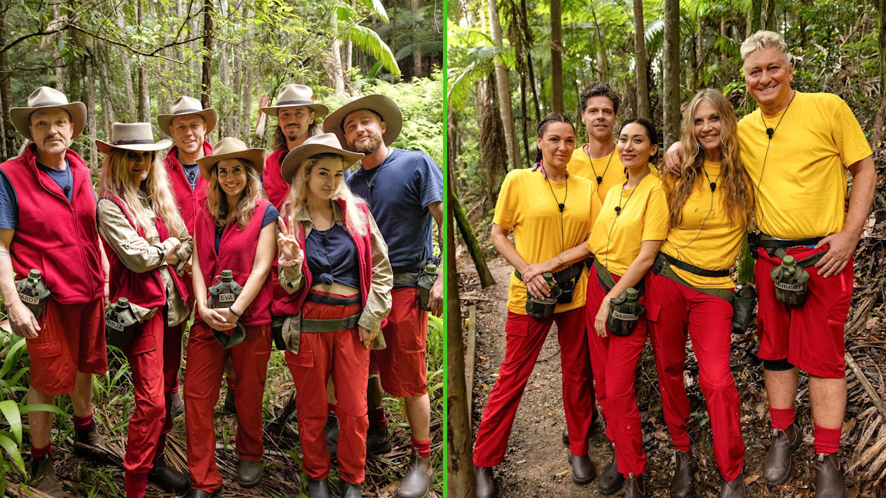 Dschungelcamp 2026: Wem Dr. Bob den Sieg zutraut