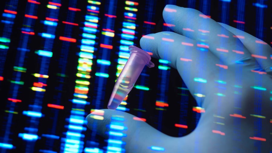 Pharma: Eli Lilly schließt Milliarden-Deal mit deutschem Start-up