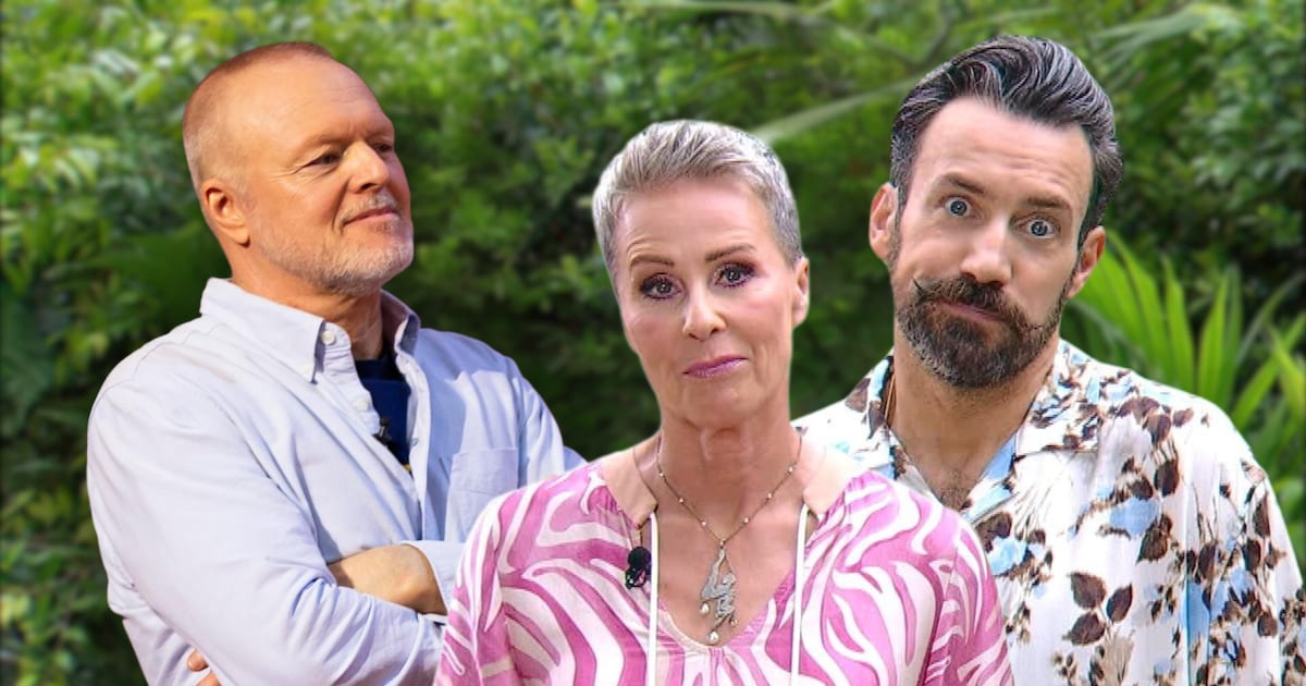 tv-dino-aus-dem-ruhestand-dschungelcamp-moderatoren-ledern-gegen-stefan-raab-ab.png „TV-Dino aus dem Ruhestand“: Dschungelcamp-Moderatoren ledern gegen Stefan Raab ab