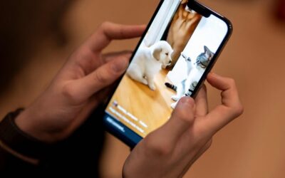 Social-Media-Verbot: Brüssel hat den Kampf gegen Big Tech aufgegeben – Jetzt schreiten die Nationalstaaten ein