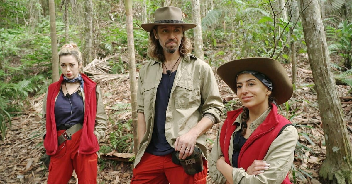 Klare Fan-Mehrheit: Dieser Star gilt als der Ehrlichste im Dschungelcamp