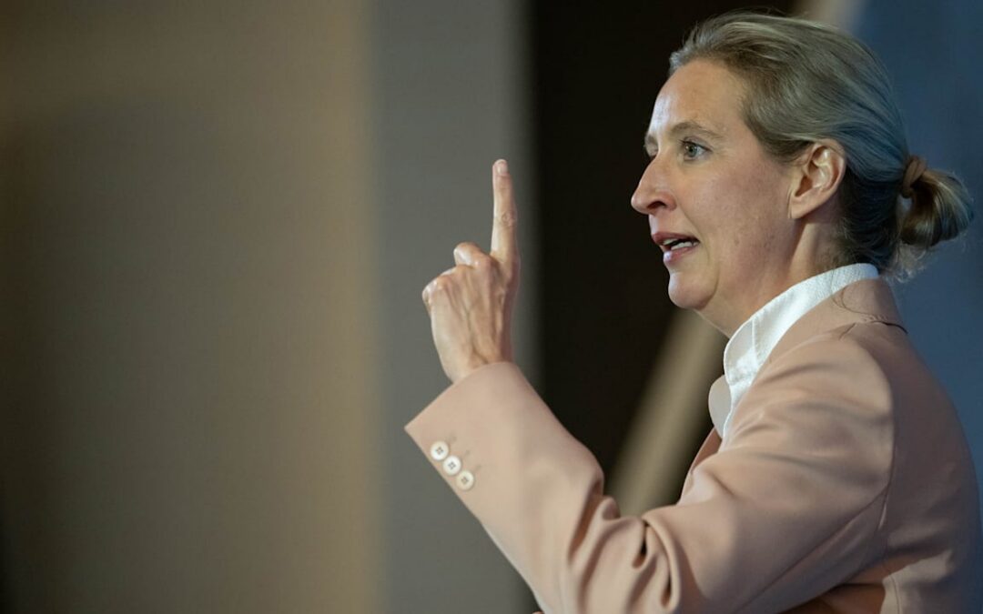 Turbulenzen in der AfD: Hat Weidel ihren Laden noch im Griff?