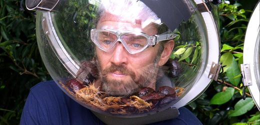 Dschungelcamp 2026: Gil Ofarim gewinnt Finale der RTL-Sendung »Ich bin ein Star – Holt mich hier raus!«