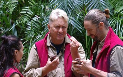 Leser haben abgestimmt: Einem Dschungelcamp-Star gönnt ihr die Dschungelcamp-Krone am meisten