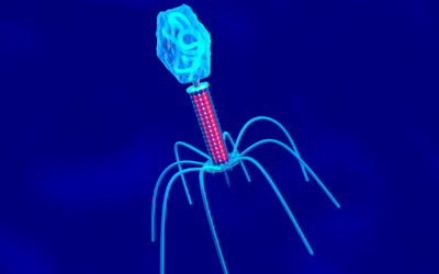 Darmkrebs: Neu entdecktes Virus könnte Krebs auslösen