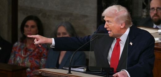 Was Donald Trump in seiner Rede zur Lage der Nation gesagt hat – der Überblick