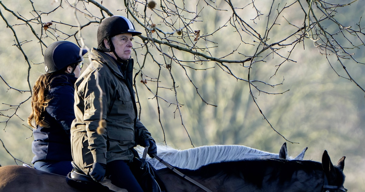 palast-spricht-machtwort-ex-prinz-andrew-darf-seine-pferde-nicht-mehr-reiten.jpg Palast spricht Machtwort: Ex-Prinz Andrew darf seine Pferde nicht mehr reiten