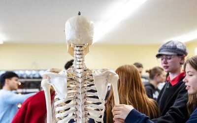 Echte Menschenknochen in Schulsammlungen: Skelette im Unterricht