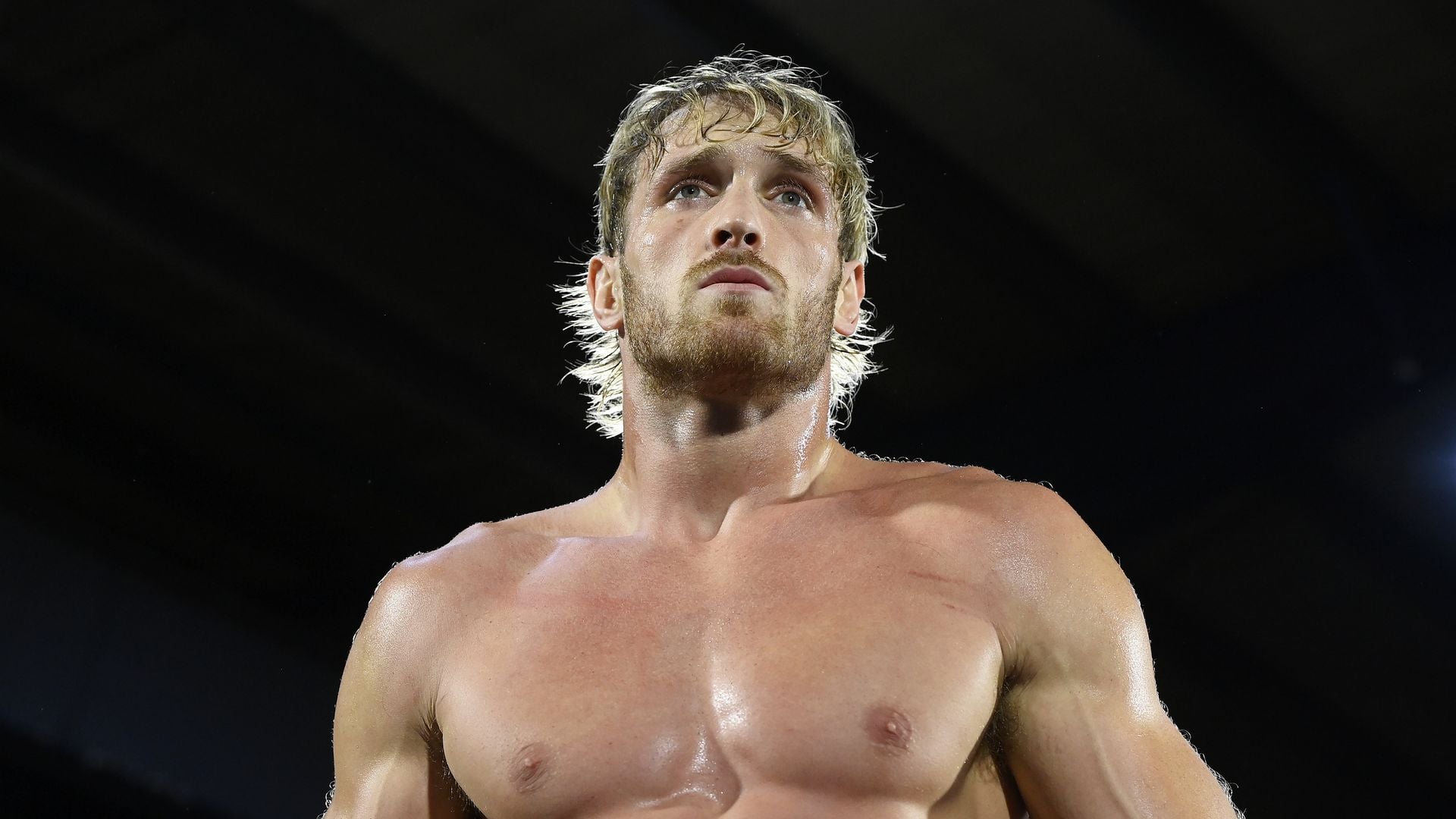 Millionen-Duell geplatzt: Macht Logan Paul einen Rückzieher?