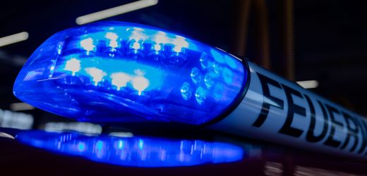 Fischereihafen in Bremerhaven: Mann will Hund retten und stürzt selbst in Hafenbecken