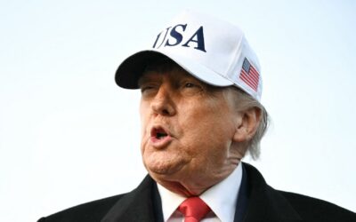 Trump-Regierung vernichtete Epsteins Akten im großen Stil