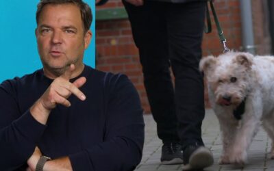 Martin Rütter findet für fast blinden Rexi ein neues Zuhause: „Da kann man nur den Hut vor ziehen“