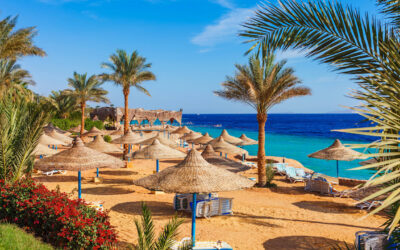 Eltern lassen 5 minderjährige Kinder für Urlaub zurück