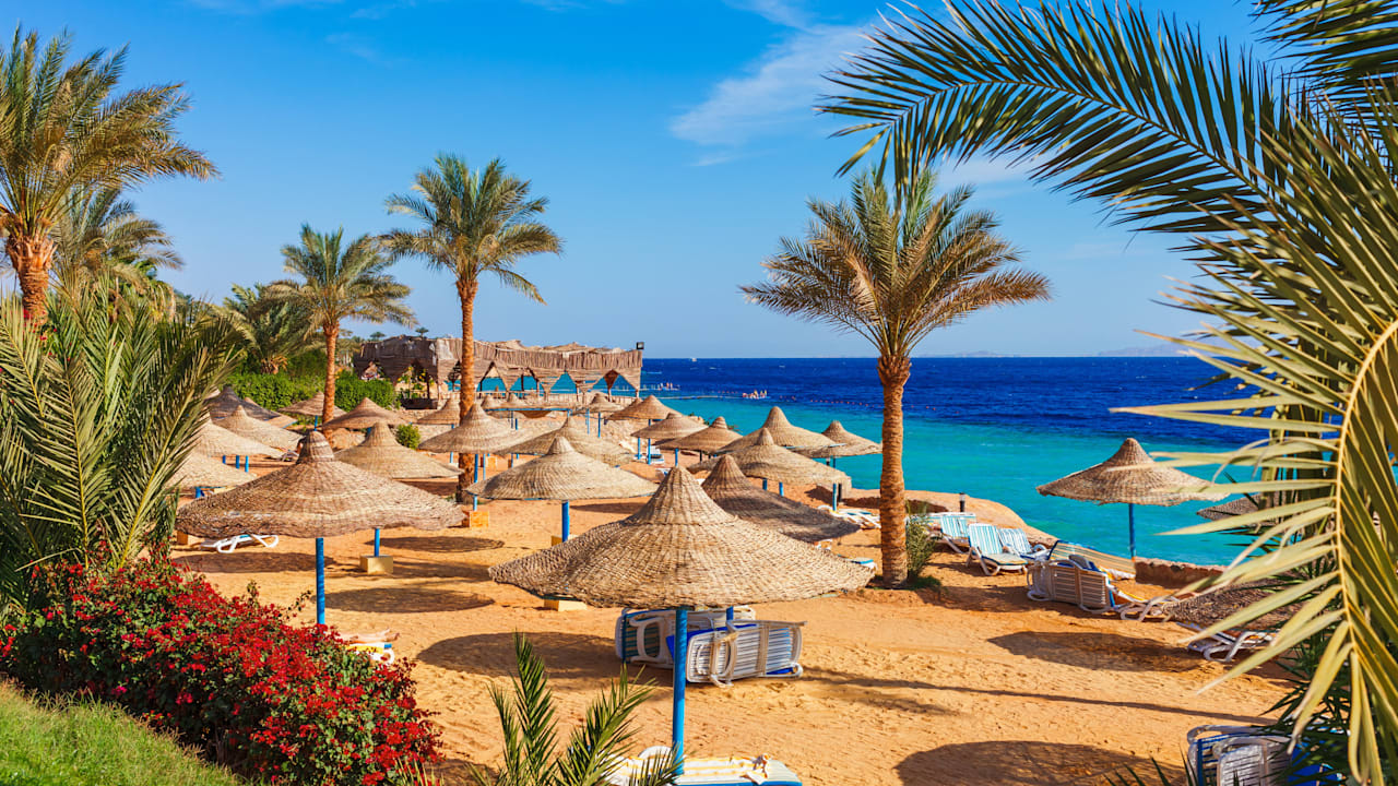 Eltern lassen 5 minderjährige Kinder für Urlaub zurück