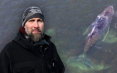 Wer darf Timmy helfen?: Jetzt bekriegen sich die Wal-Retter gegenseitig