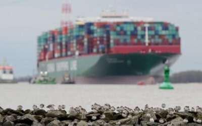 Iran-Krieg: Zwei chinesische Containerschffe haben Straße von Hormus durchquert – weitere könnten folgen