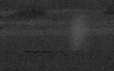 Wal hat sich befreit: Hier schwimmt Timmy wieder