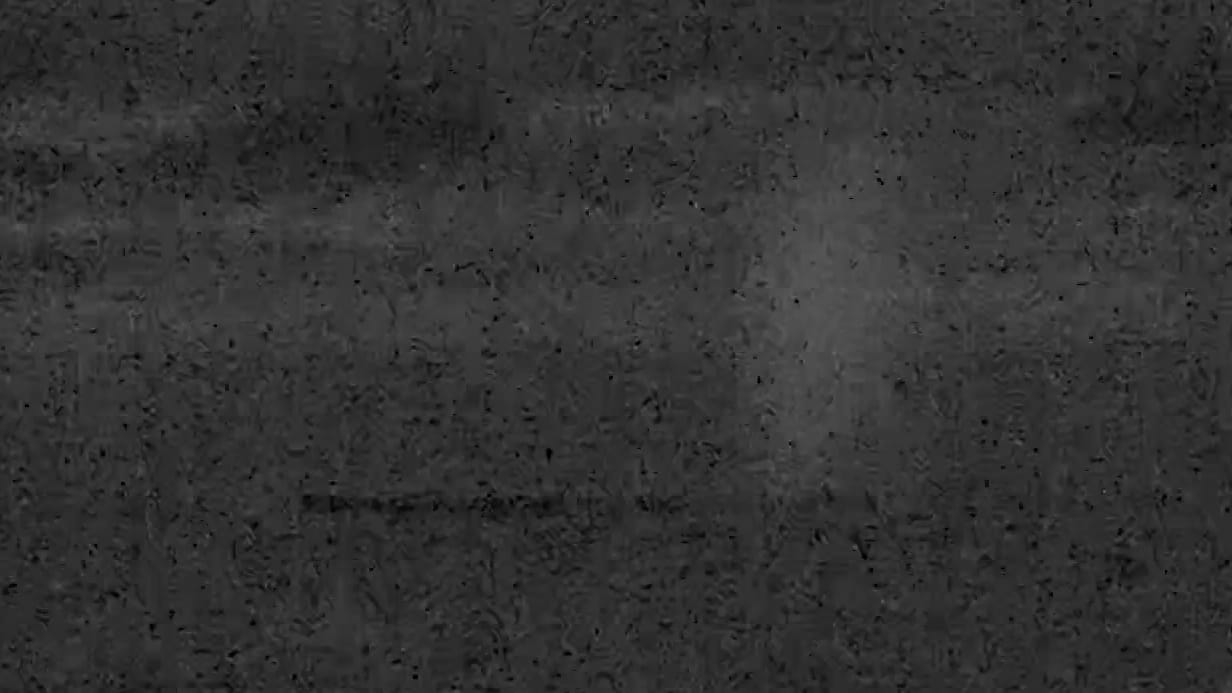 Wal hat sich befreit: Hier schwimmt Timmy wieder