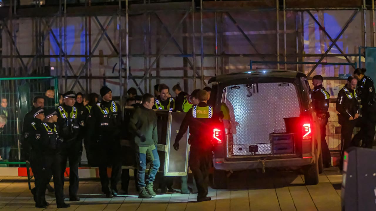 Mitten in Hamburg! Wolf beißt Frau ins Gesicht