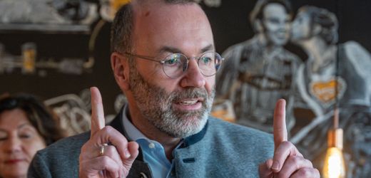 Manfred Weber: Auch EVP-Chef stellt Vetorecht in der EU infrage