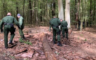 Neue Spur nach 8 Jahren: Mörder aus dem Wald zurück in Deutschland?