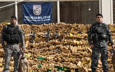 Brasilien: Spürhunde führen Polizei zu fast 50 Tonnen Marihuana
