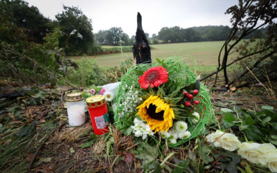 Bundesamt alarmiert: Tesla-Insassen verbrannt, weil Türen blockierten