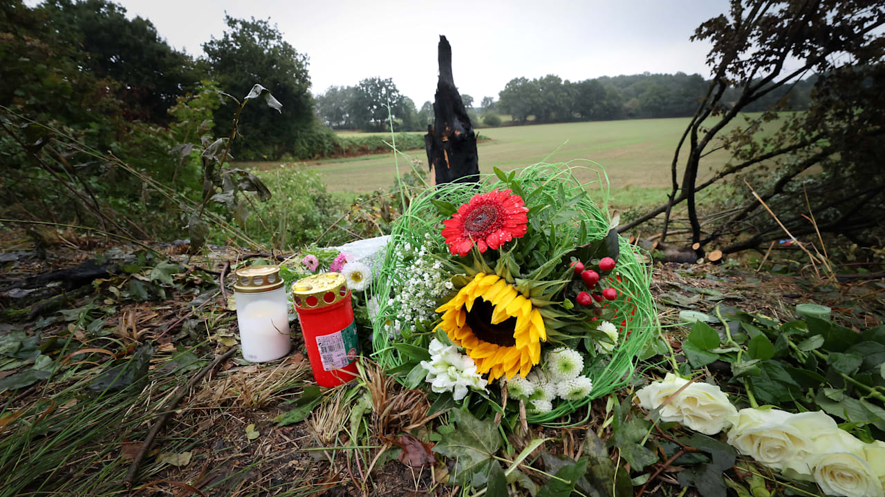 Bundesamt alarmiert: Tesla-Insassen verbrannt, weil Türen blockierten