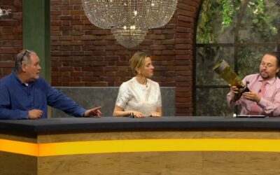 „Bares für Rares“-Bietergefecht gerät außer Kontrolle: „Wie bist du denn drauf?“