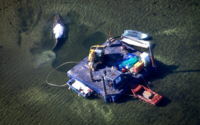 Der Krimi um Timmy: Das müssen Sie jetzt wissen