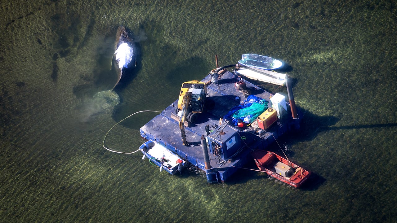 Der Krimi um Timmy: Das müssen Sie jetzt wissen