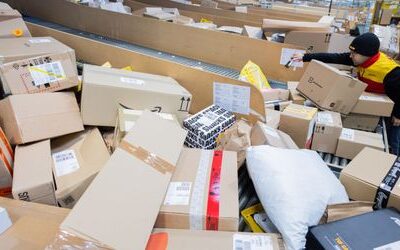 IW: Temu und Shein sollen deutschen Einzelhandel Milliardensumme kosten