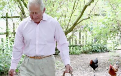 Beim Hühnerfüttern: So haben wir König Charles noch nie gesehen