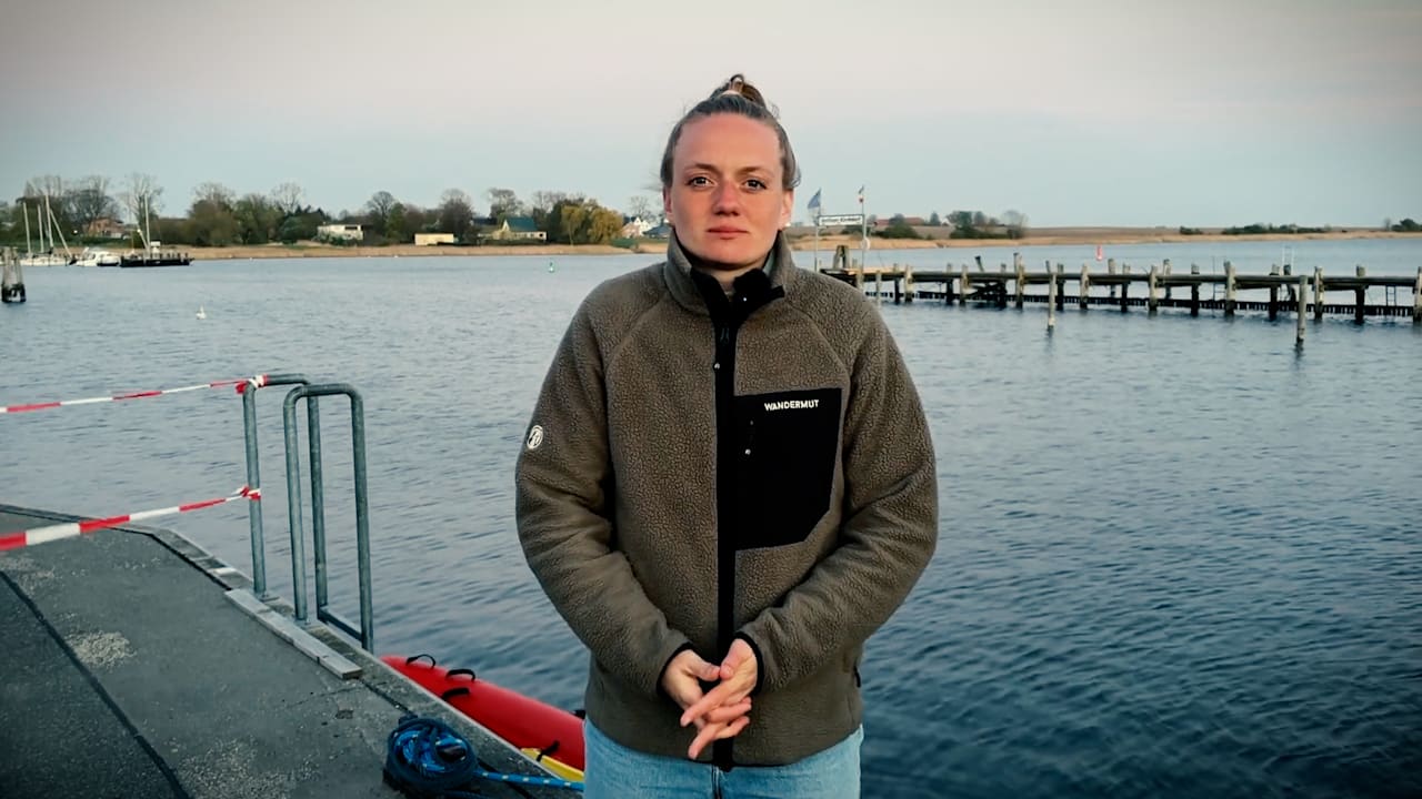 Bluttest soll zeigen, wie es um die Gesundheit von Timmy steht