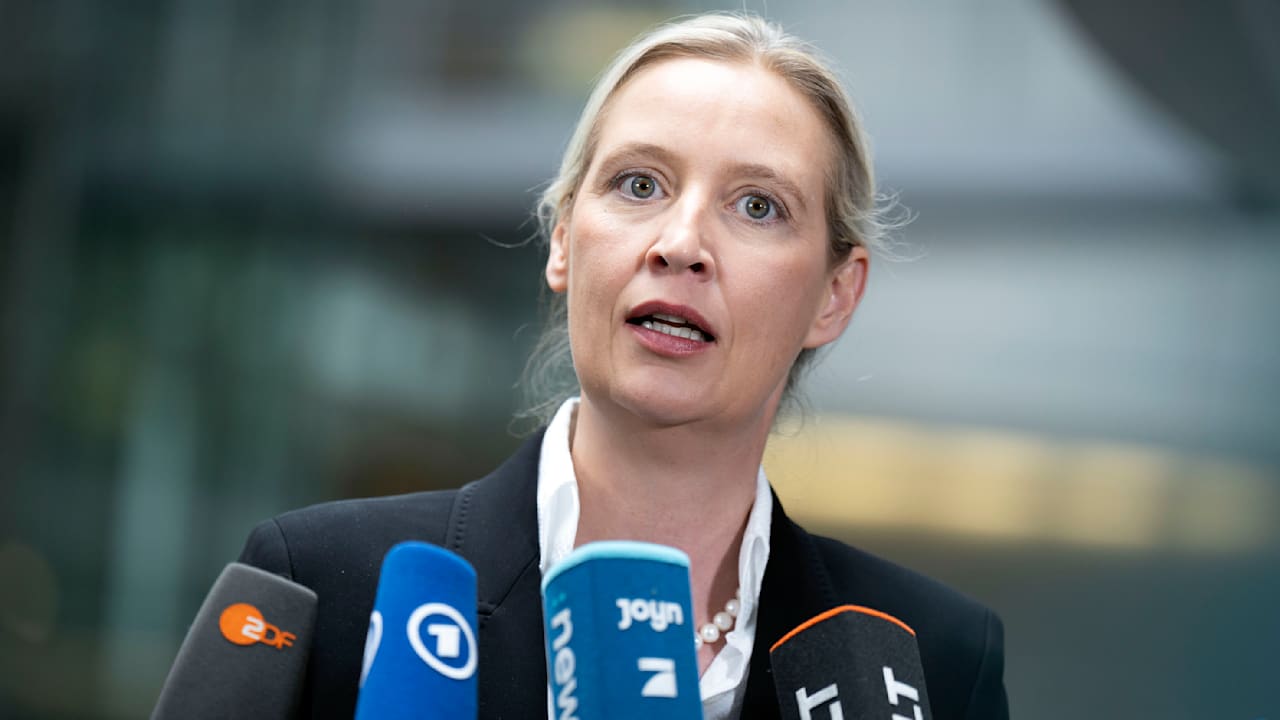 Neue Umfrage-Zahlen: AfD führt auch bei Kanzlerfrage